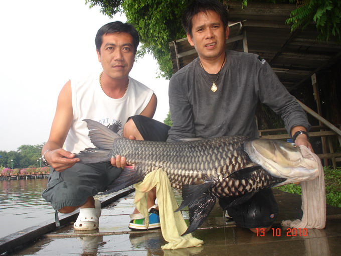ขอแจมด้วยคนครับบบบบ :smile: :smile: