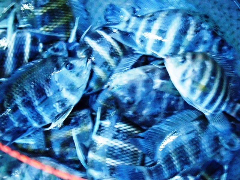 ทำไำมสีกลายเป็นแบบนี้อ่ะ  :sad: :sad: :sad: :sad: :sad: :sad: