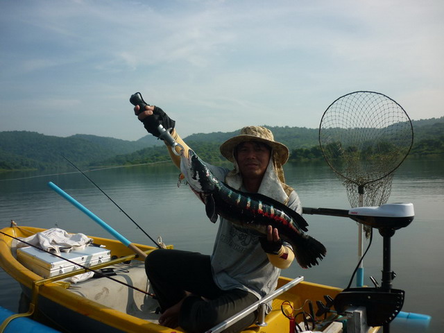[q][i]อ้างถึง: joeyman posted: 16-10-2553, 12:00:47[/i]

 ยินดีด้วยครับ  เรือที่ใช้ ซื้อที่ไหนครับ