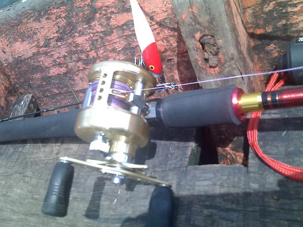 team daiwa luna ไม่โดนเลยวันนี้
