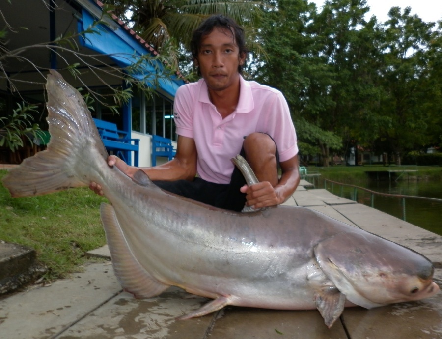 ทริปวันนี้ผมของส่งท้ายด้วยตัวนี้แล้วกันน่ะคับ

ไหย่ที่สุดของวันนี้เลยคับก่อนจะกลับบ้าน

และสุดท้