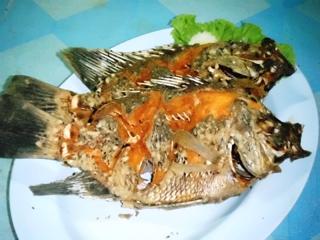 [q][i]อ้างถึง: Mr.Frog2009 posted: 18-10-2553, 10:29:17[/i]

+++++ :love: :love: :love: :love: :lo