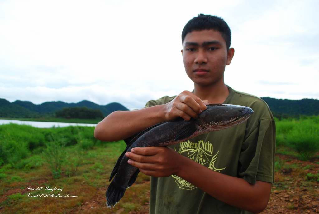 สุดยอดหลานทศ...เล่นรูปใหม่เลย :dance: