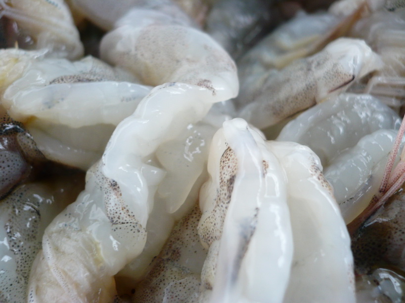 น่าน....น้องกุ้งโดนอีกแล้ว ปลาไม่กินทีไรน้องกุ้งเดือดร้อนทุกที :laughing: