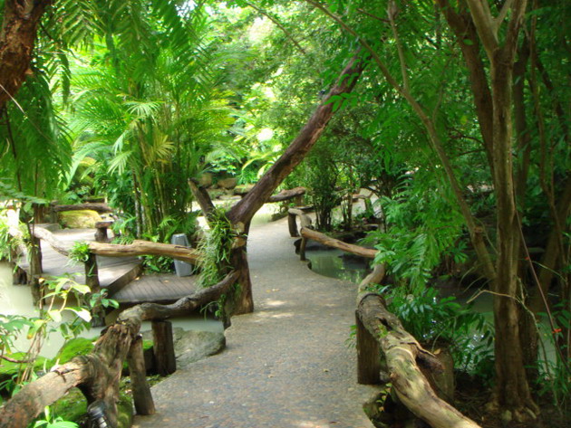 ทางเข้าไปด้านในสมกับชื่อจริงๆครับ"ตำนานป่า"

           :love: :grin: :love: