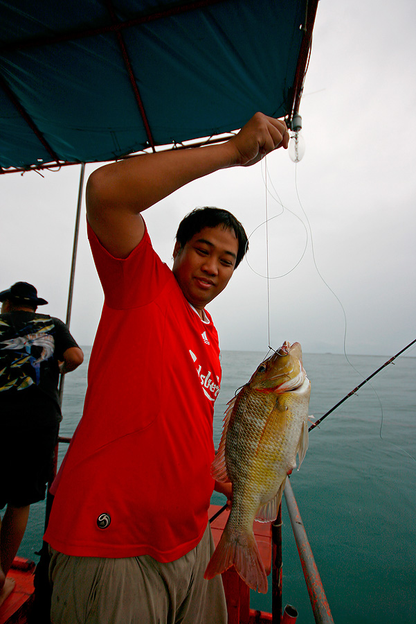 
 [b]  หมูสี  ตัวสวย  

  ถูกน้องตูน  สอยขึ