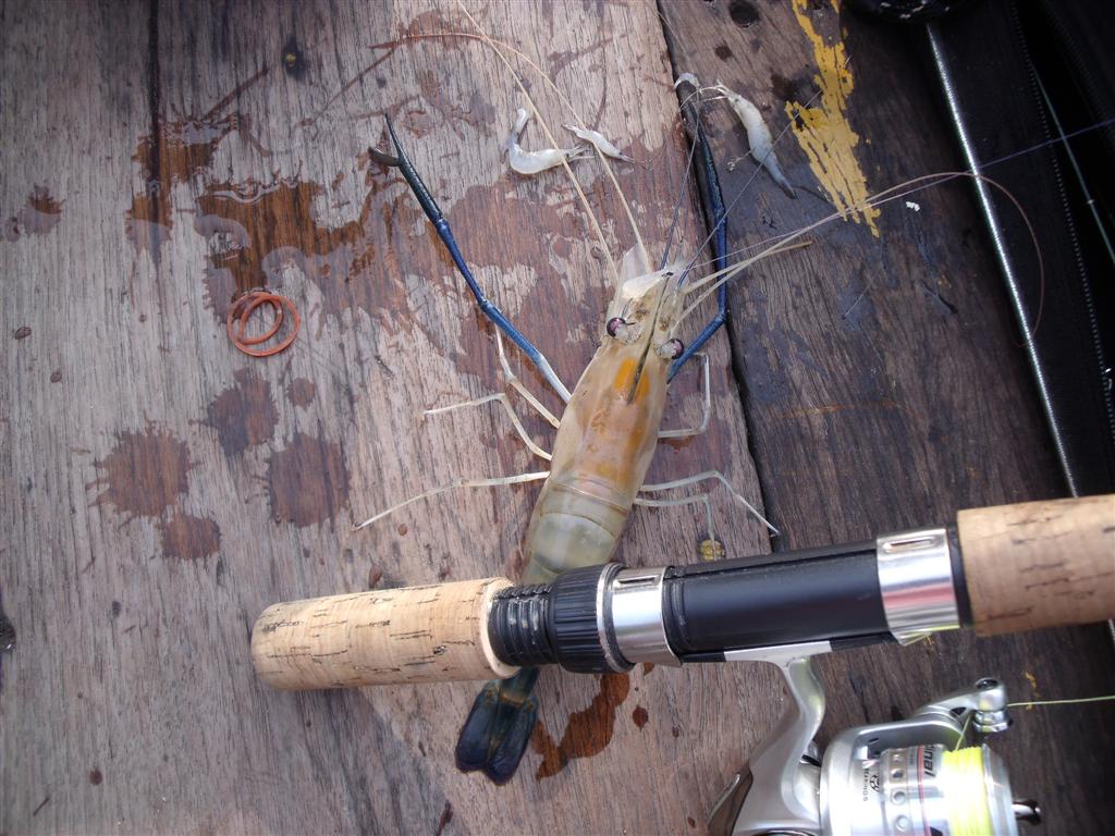 ที่พักใจ.............น้องกุ้ง  บางปะกง........... .