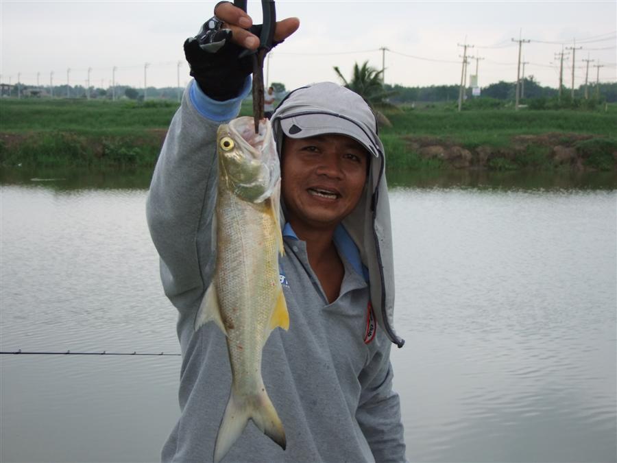 จัดแบบหล่อให้ น้าชัยดินแดง เลยครับ  :cool: :cool: :cool: :cool: :cool: :cool: :cool: :cool: