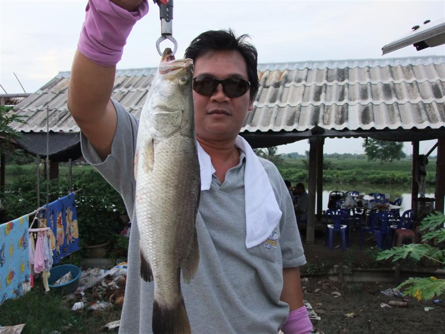 ผลงานของ น้าเกรียงคร๊าบ  :cool: :cool: :cool: :cool: :cool: :cool: