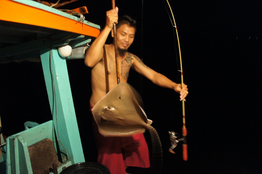 ผิดคิวดิ  โดนจัดหนักเลย 
 
 สวัสดีคร๊ฟฟ  น้า  phuwadol
 
สวัสดีคร๊ฟฟ  น้า   fish-on
 
