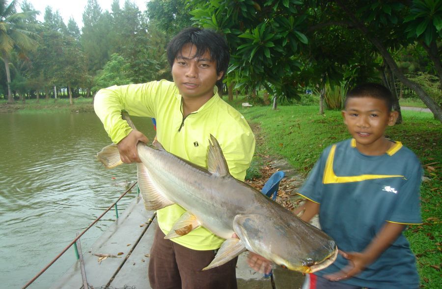 ขอด้วยคน :grin: :grin: :grin: