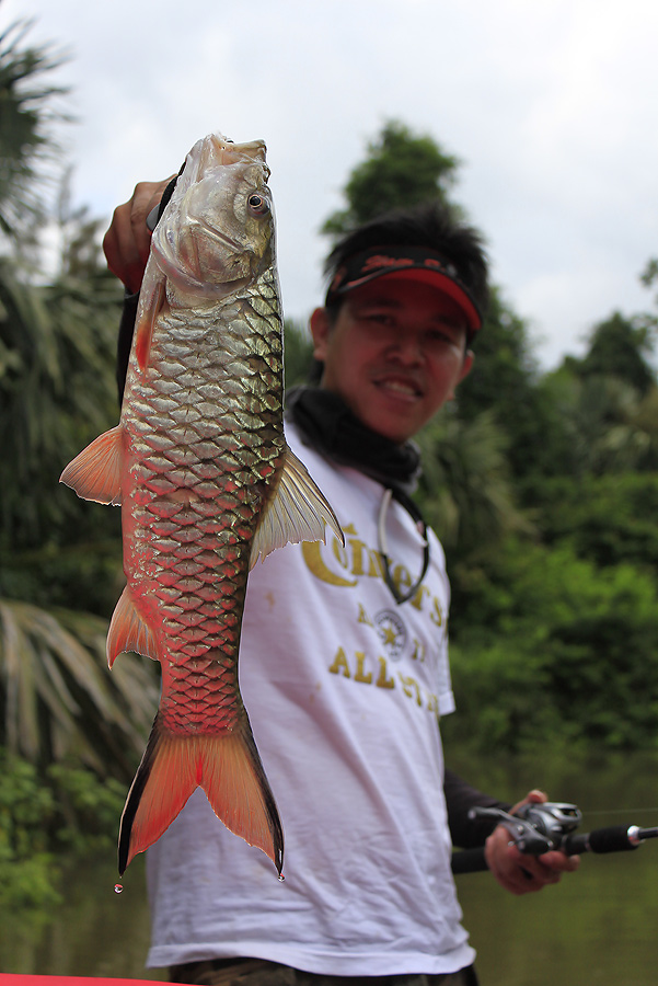 พอขึ้นเรือมาได้ดูมานสิจะหล่อไปถึง