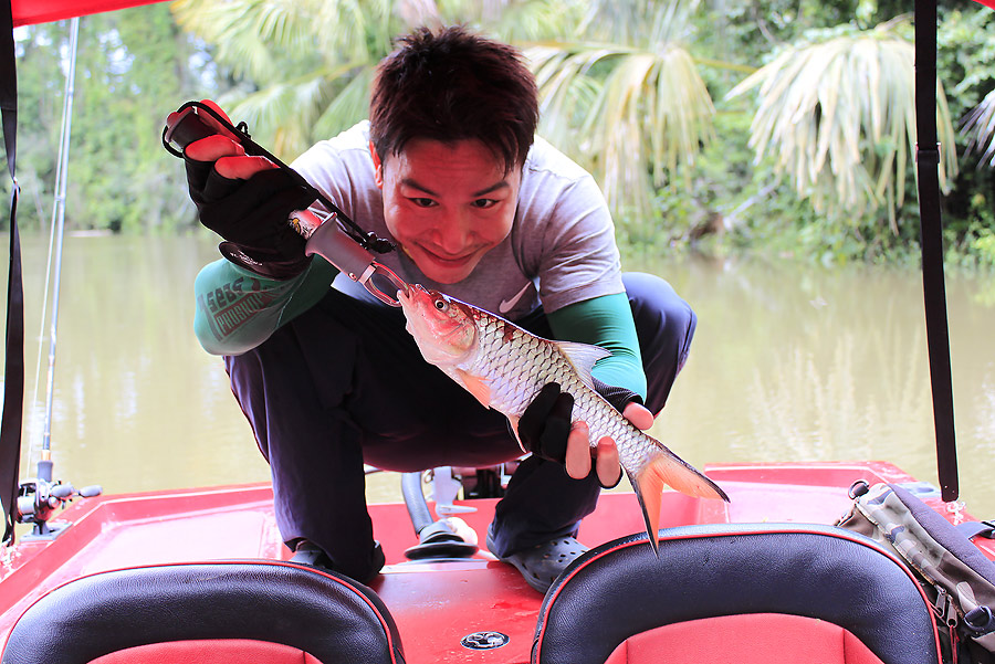 ถึงจะเล็กแต่คนตกหน้าตาดีซะอย่าง  :grin