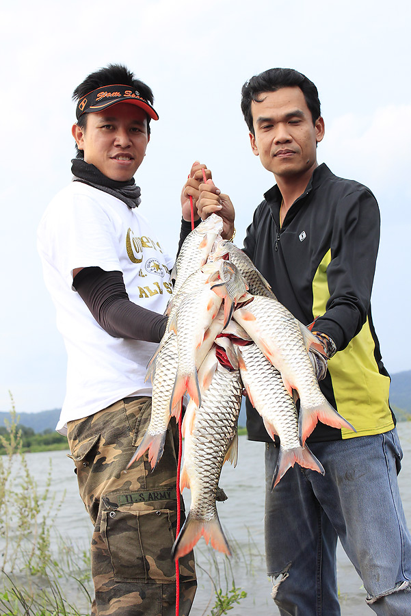 น้ามดขอแจมด้วยคนครับ  :grin:
