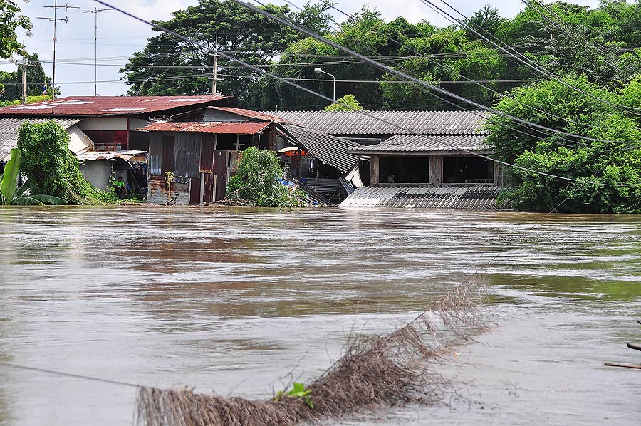 บ้านเรือนแถวนี้โดนน้ำท่วมกันทั่วเลย :ohh:
เดี่ยวไปดูร้านกับบ้านใหม่ที่ผมกำลังสร้างอยู่กันน่ะครับ จะ