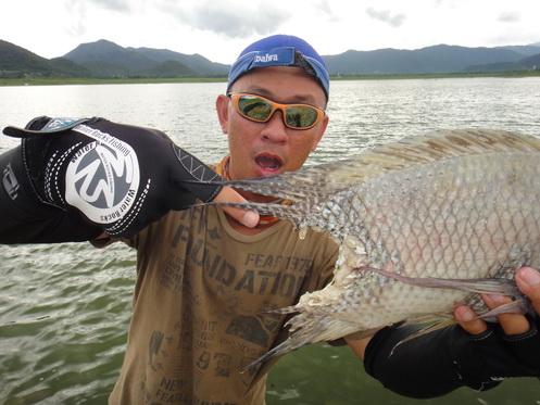 หางโดดกัด

 :grin: :grin: :grin: