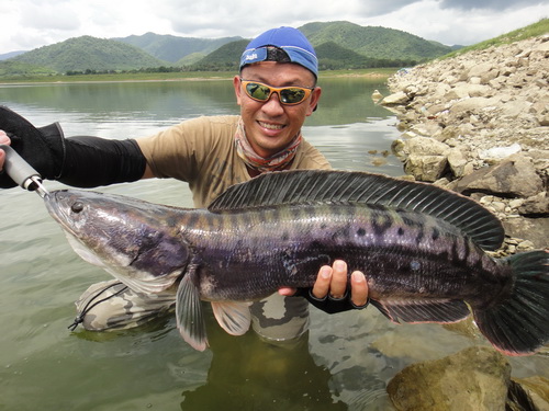 Catch & Release !!! 
ตกแล้วปล่อยคาวหน้าเจอกัน
 :grin: :grin: :grin: