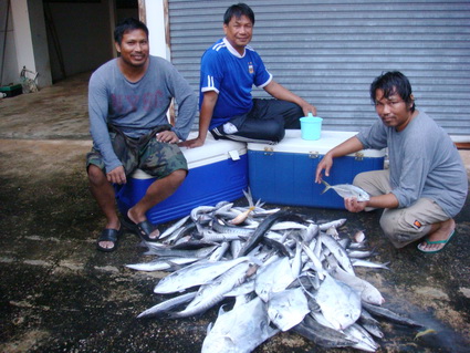 3เกลอกับกองปลาสากและโฉมงาม :grin: