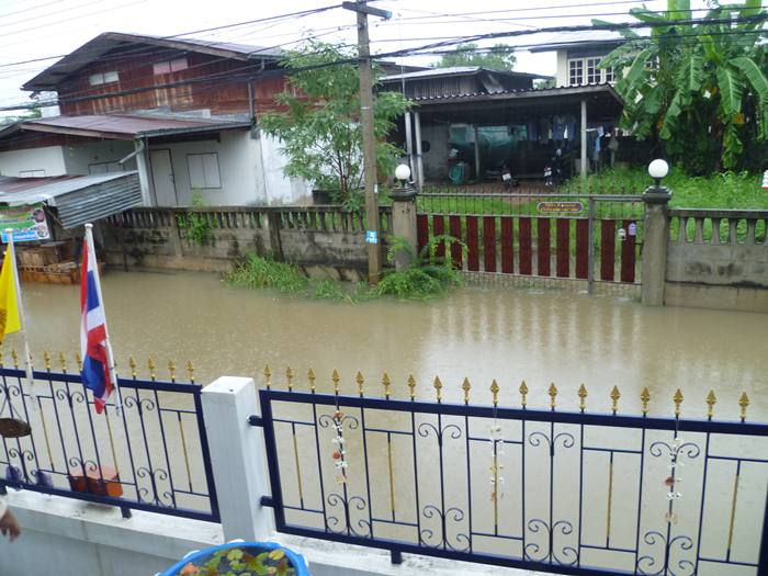 ด้านหลังบ้านครับ    ถึงเอวเลย    :sad: :sad: :frow