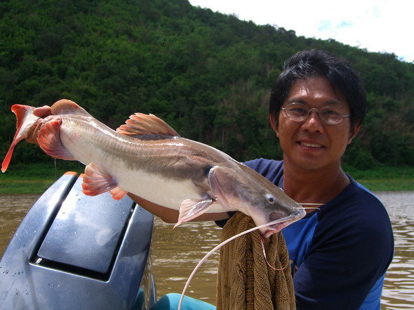   :grin: :grin: :grin: :grin: :grin: :grin: :grin: :grin: :grin: :grin:

   ปลารับแขกล้วนๆ ....
