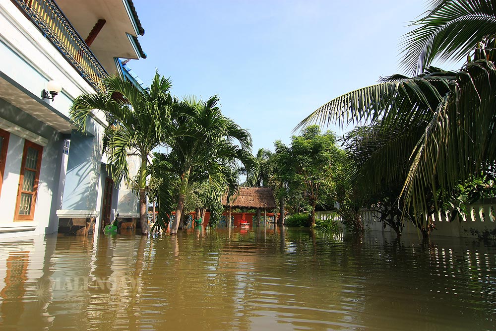 สวนข้างบ้าน...ระดับ ไข่เย็นๆ... :laughing:
