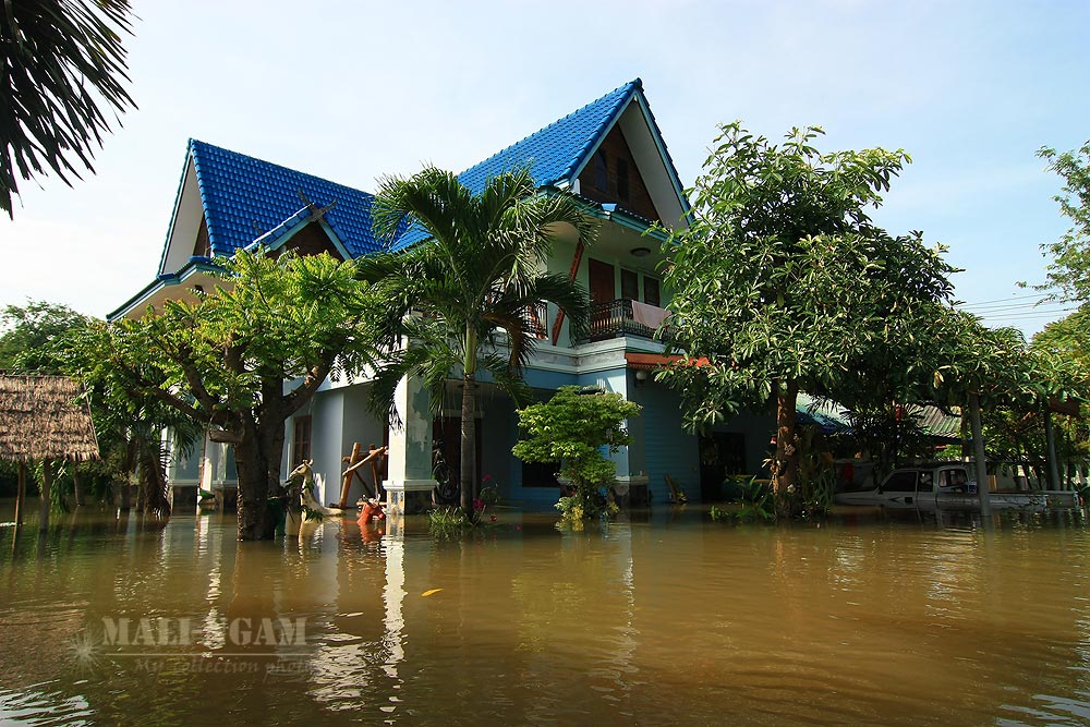 บ้านกลางน้ำ...สร้างบ้านมาสิบปีพอดี

ไม่เคยคิดว่าจะเจอแบบนี้...ขนาดสร้างสูงกว่าเขาแล้วนะ