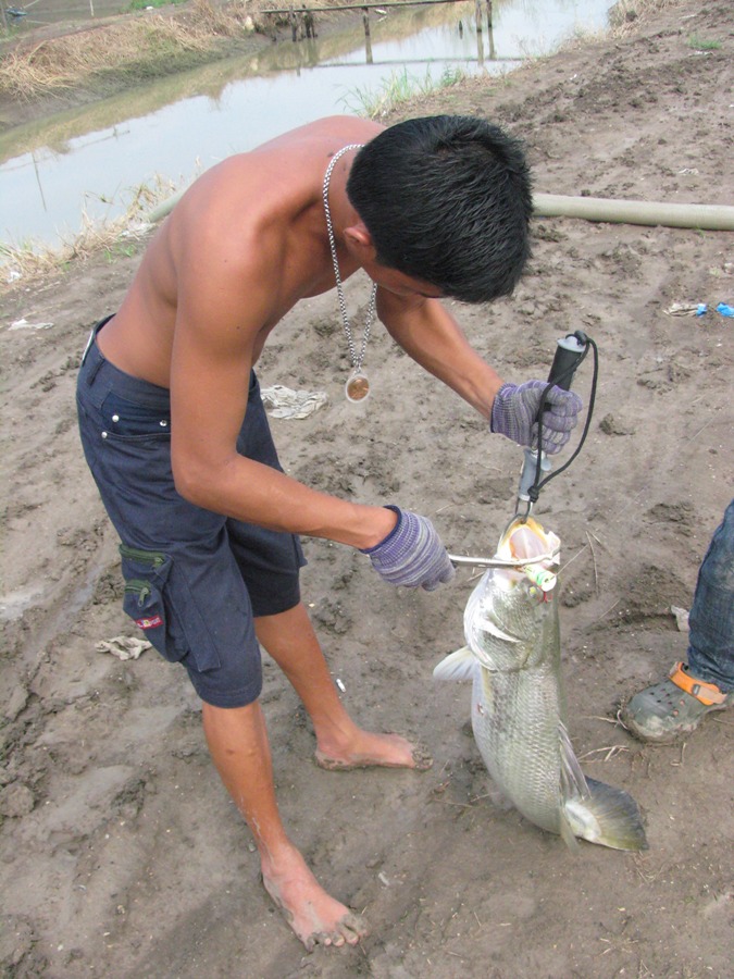 เหนียว - แน่น - หนึบ  :cool: :cool: :cool:
