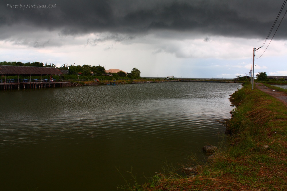 ไปถึงก็เย็นมากแล้วแถมเหมือนฝนจะตกอีกด้วย 
 :smile: