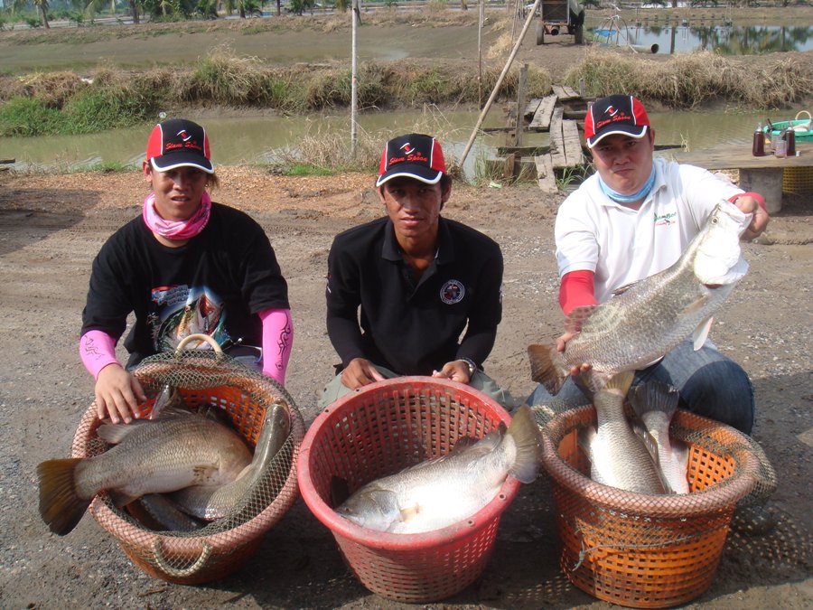 รูปภาพหมู่กับปลาที่ได้ครับ...แหล่มเลย

...........................................................