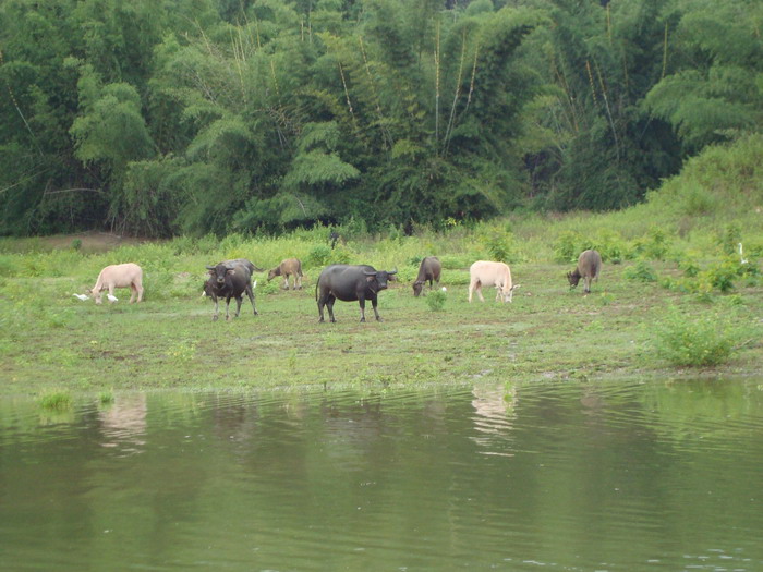 มาชมภาพจากล้องอีกตัวที่ลงเรือไปตีปลาตอนเช้า :smile: :grin: