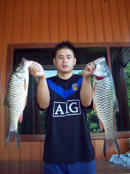 
รูปตามที่บอกเจ้าของกระทู้ไว้นะ ฝา