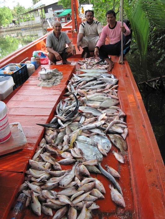 ถ่ายทันบ้างไม่ทันบ้างครับรวม ๆ