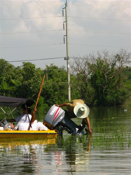 บางจุดก็ติดข่ายที่ชาวบ้านลงไว้และพื้นที่ส่วนใหญ่เป็นท้องนาครับ