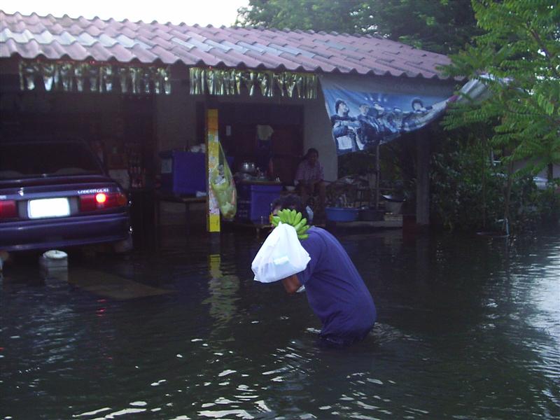 ส่วนใหญ่อยู่เฝ้าของ