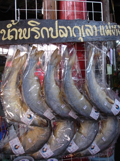 ใครว่า แปดริ้ว ไม่มีปลากุเลา เน้อะ