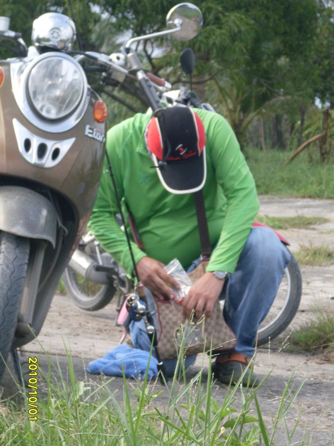 งานมาแล้วนะ.....ดู...ตรูก็หาเหยื่อ ประก