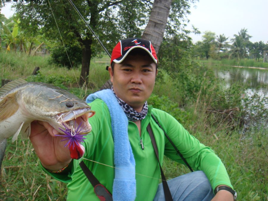 น้าnouea66 รบกวนย่ำ หลายๆ ใบหน่อยนะ  :laughing: :laughing: :laughing: