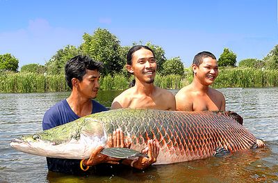 ทุกคนเตรียมตัวเพื่อไปเจอตัวแบบนี้