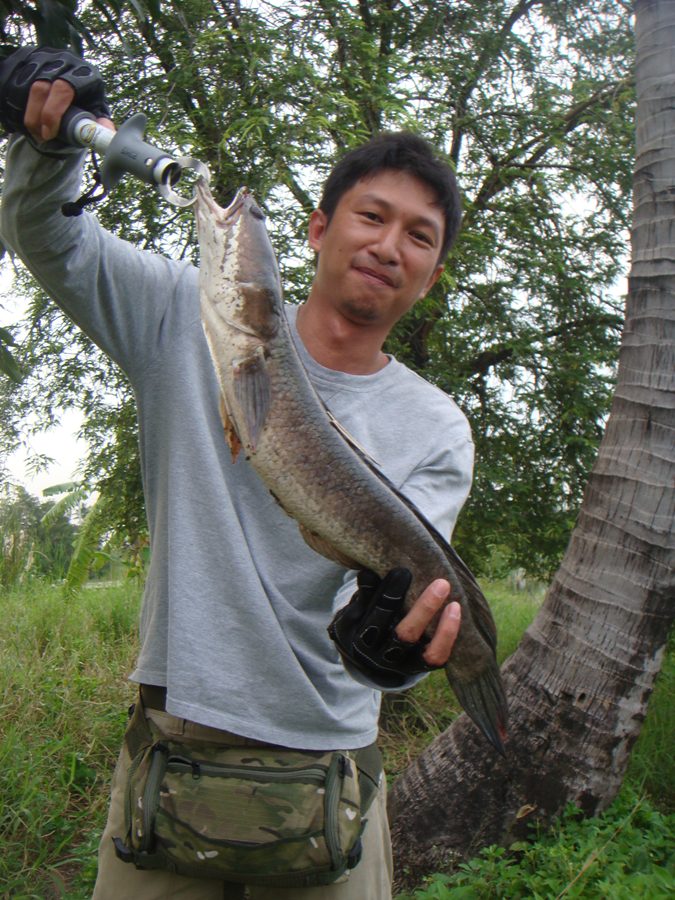 มาอีกแล้วนะ...เสียงน้าบอมดังมาจากข้
