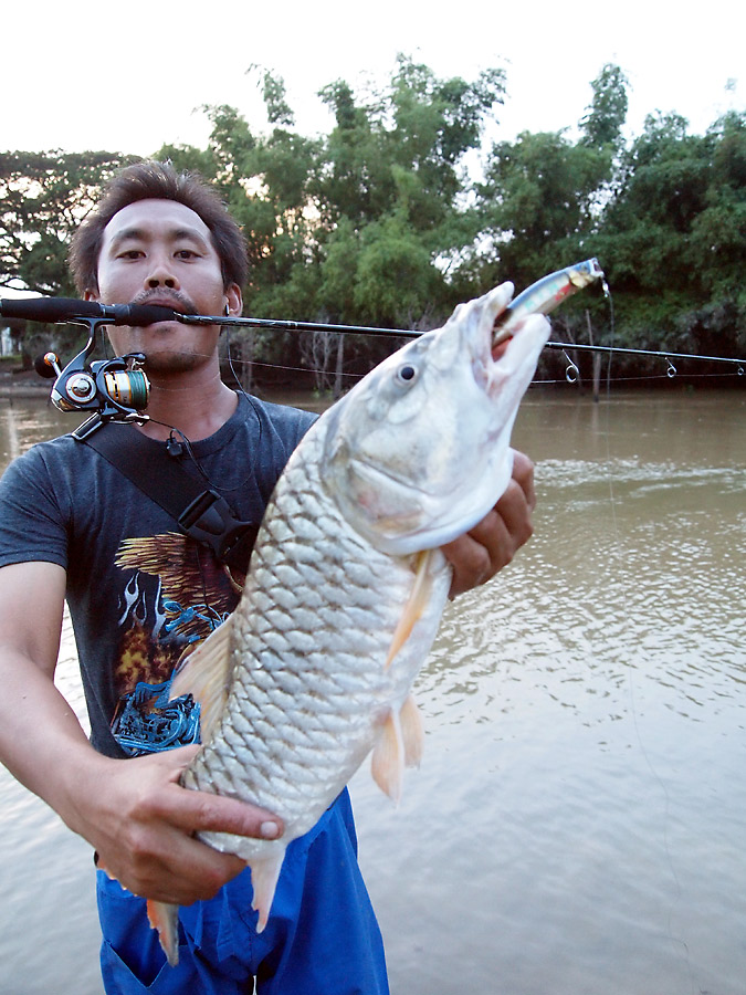  :grin: :grin: :grin:


นาทีสุดท้าย ก็ได้ บิ๊กฟิช ขึ้นมา อีกตัว ของตากล้องเอง :laughing: :laughin