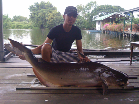 [q][i]อ้างถึง: amm posted: 26-10-2553, 14:37:00[/i]

[q][i]อ้างถึง: boytr200 posted: 26-10-2553, 1