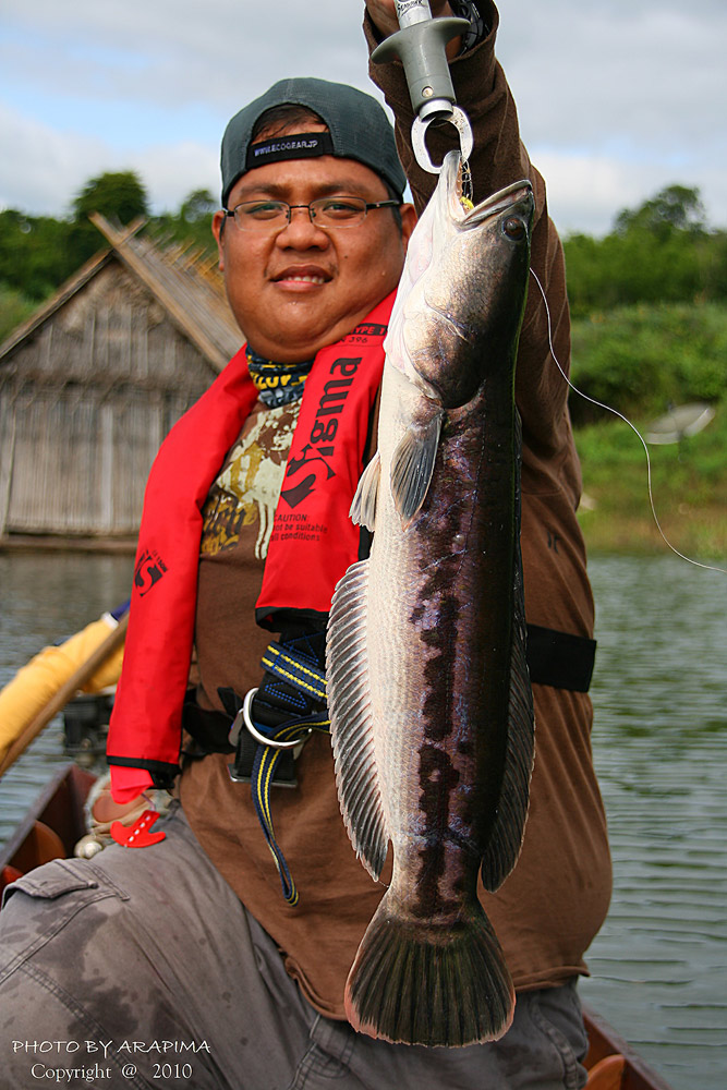  :grin: :grin:  หล่อเนอะ เจ้าเต้.........พี่ยินดีด้วย........แล้วก้อเลิกถากถางพี่ซะทีเหอะนะ :laughin