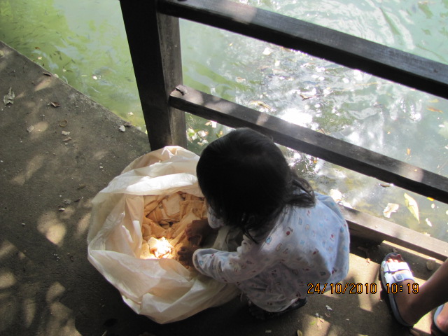 เตรียมขนมปังมาให้ปลาโดยเฉพาะ

 :smile: :smile: :smile:
