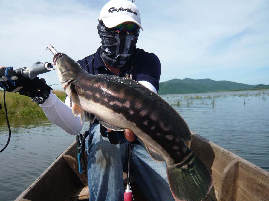 ของคู่หูเราเอง...... โซดาน้ำ