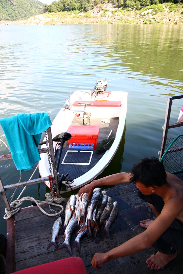 ปลาดองไว้หนึ่งคืน เตรียม กระสูปรมควัน 

