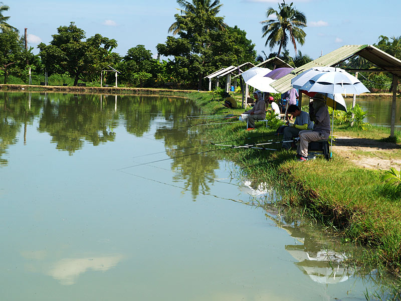 วันอาทิตย์ งดออกทริปหนึ่งวัน ทำตัวเป็นพ่อบ้านที่น่ารักอยู่บ้านสักหน่อย   :smile:
วันหยุดชดเชย นัดแน