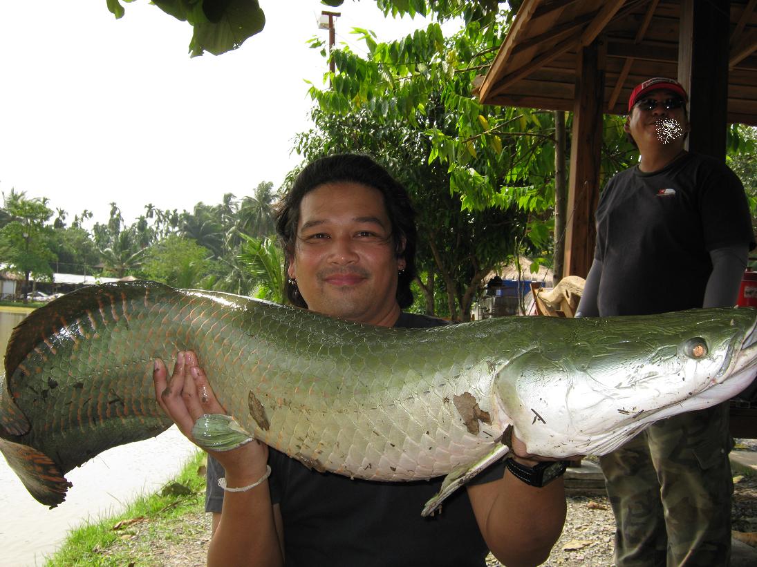 เกลียดและ......เอาตัวใหญ่กว่าเราขึ้นมาได้ :grin: