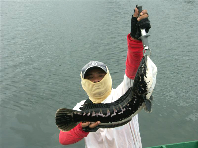 [q][i]อ้างถึง: Mong_Actionlure posted: 28-10-2553, 18:39:33[/i]

+ตามมาเที่ยวเขาแหลมด้วยคนคร๊าบบบ 