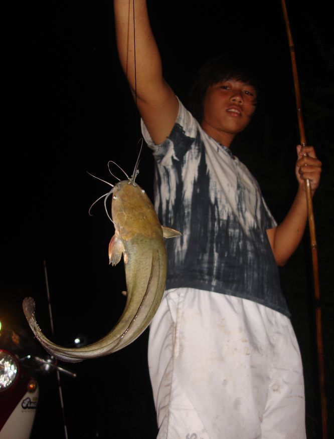 ปลาของน้องเนม :smile: