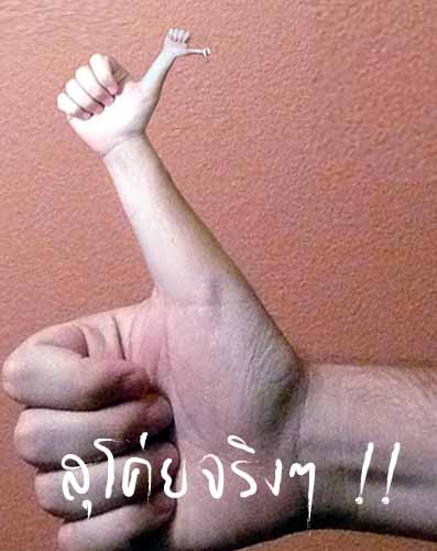 +++++ สุดยอดบรรยากาศบันเทิงฟลายเลยครับน้า                 
:heart: :heart: :heart: :heart: :heart: